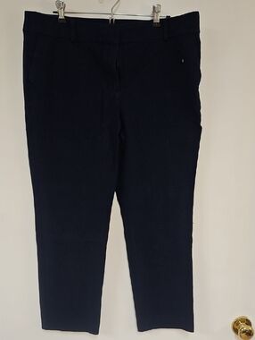 Ann Taylor Factory Navy Pants
